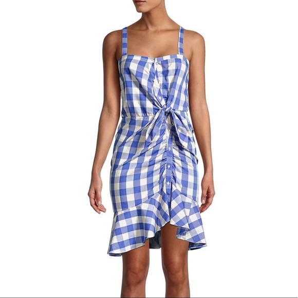 Likely Gingham Blue Mini Dress - Picture 13 of 13
